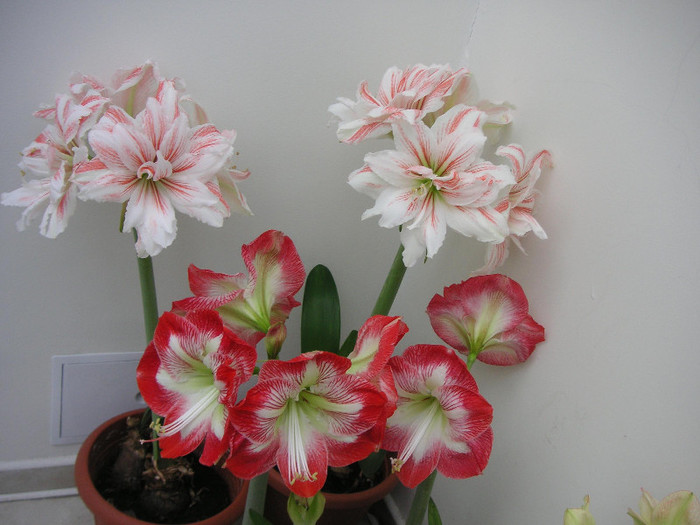 2757199380075666569NbqngQ_fs