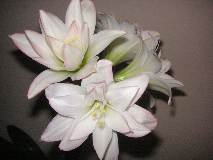 2805774590075666569hudZxj_fs