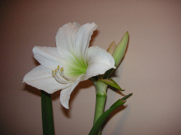 2852263590075666569WJqHkT_fs