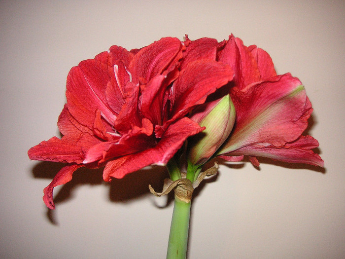 2853669380075666569OAaJPW_fs