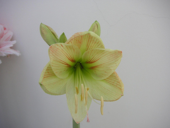 2907245950075666569UjKeez_fs