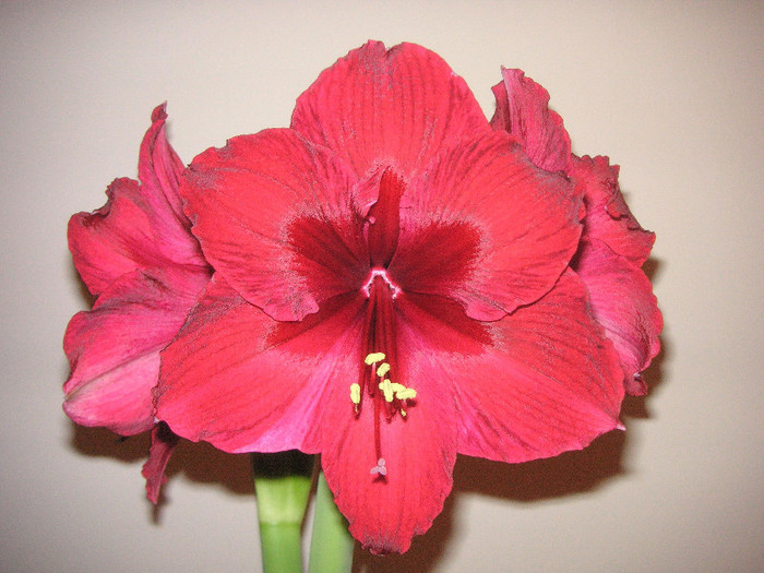 2909432110075666569TSbMjy_fs