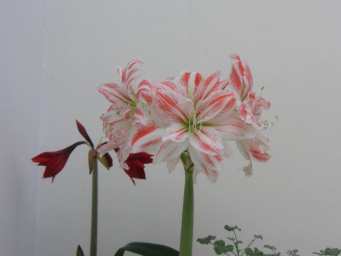 2918083030075666569SpIyJE_fs