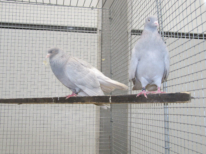Leipzig , december 2012 254