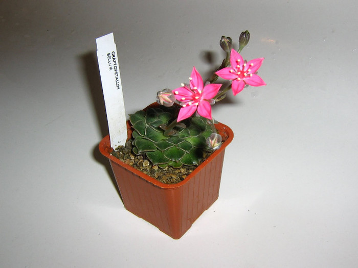 2955678690075666569rmbPzh_fs