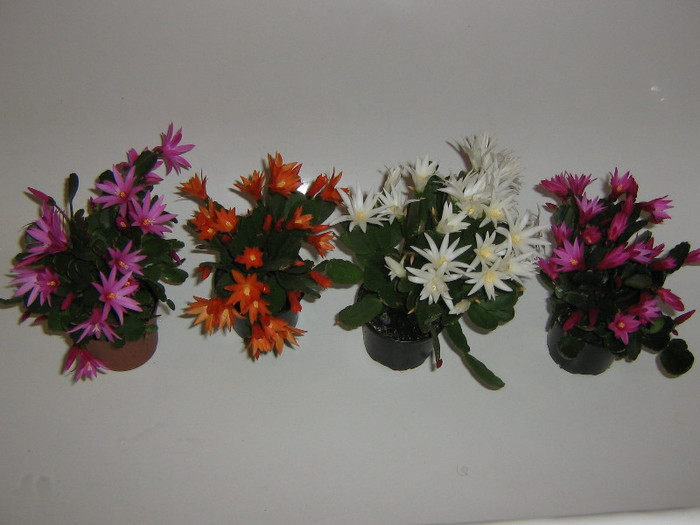 2086709580075666569azLeqZ_fs