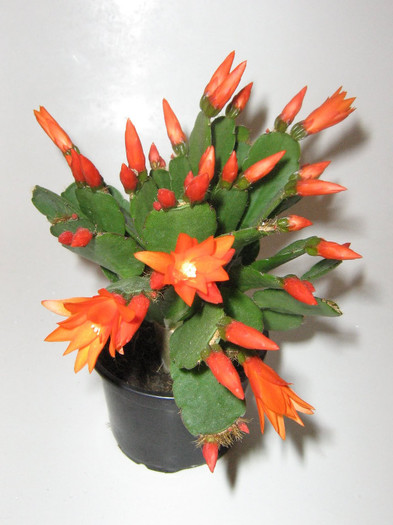 2087293700075666569woWYuv_fs