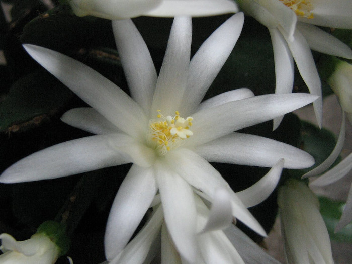 2267104040075666569eRpVel_fs