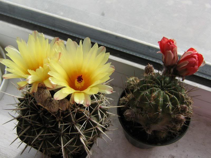 2342017510075666569XkSwUF_ph