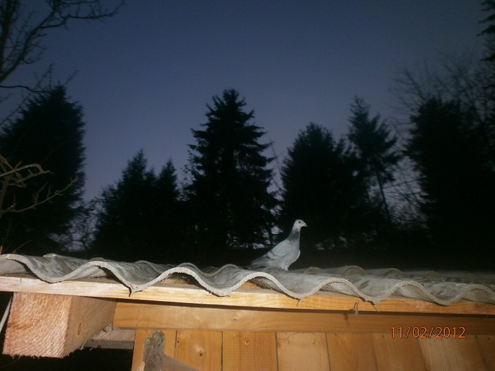 Picture 093