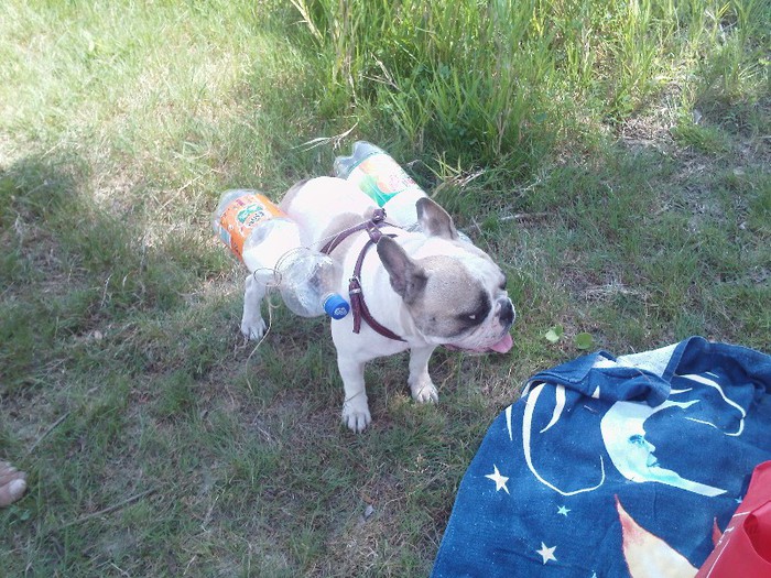 eh...daca nu stiu sa innot