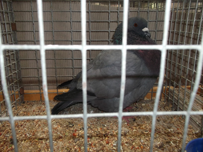 DSCF2895