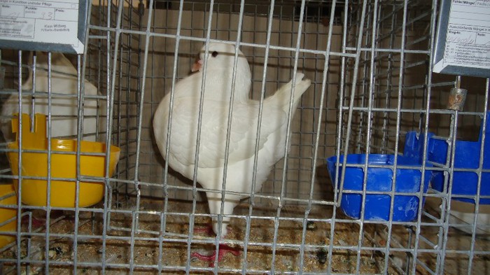 DSC02155