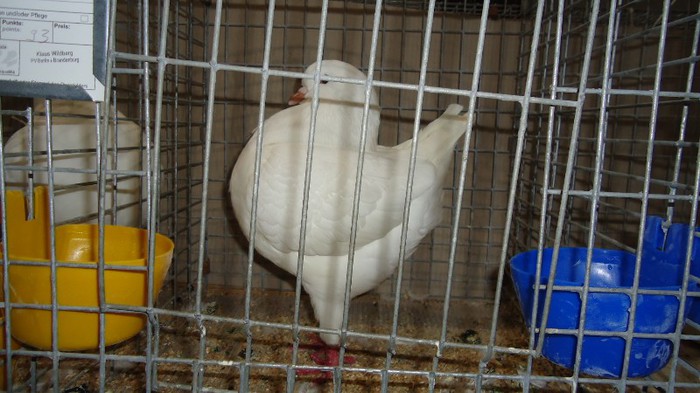 DSC02156