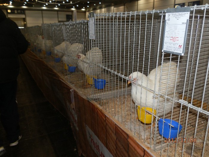 PC082789 - EXPOZITIE LEIPZIG 2012