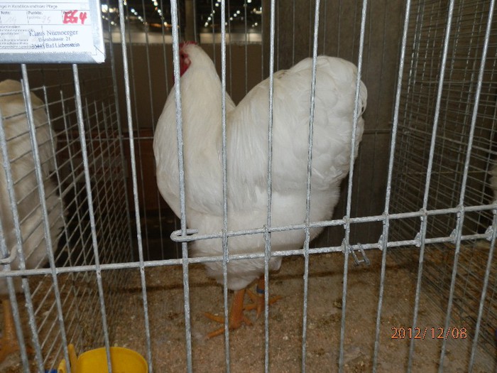 PC082791 - EXPOZITIE LEIPZIG 2012