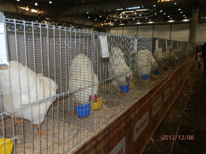 PC082792 - EXPOZITIE LEIPZIG 2012