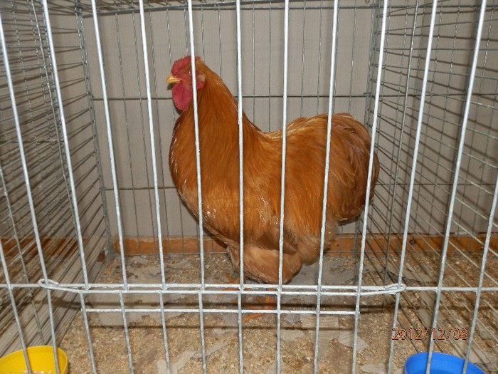 PC082796 - EXPOZITIE LEIPZIG 2012