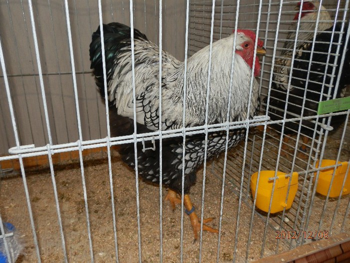 PC082798 - EXPOZITIE LEIPZIG 2012