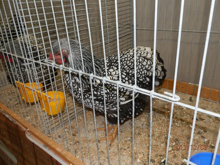 PC082800 - EXPOZITIE LEIPZIG 2012