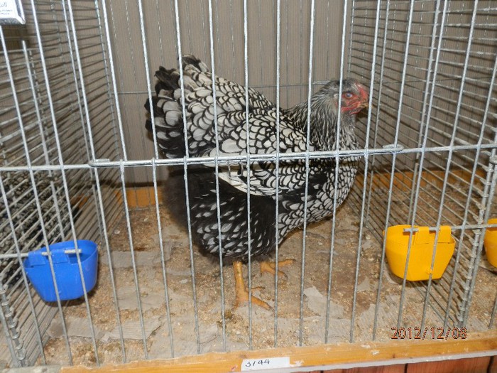 PC082801 - EXPOZITIE LEIPZIG 2012