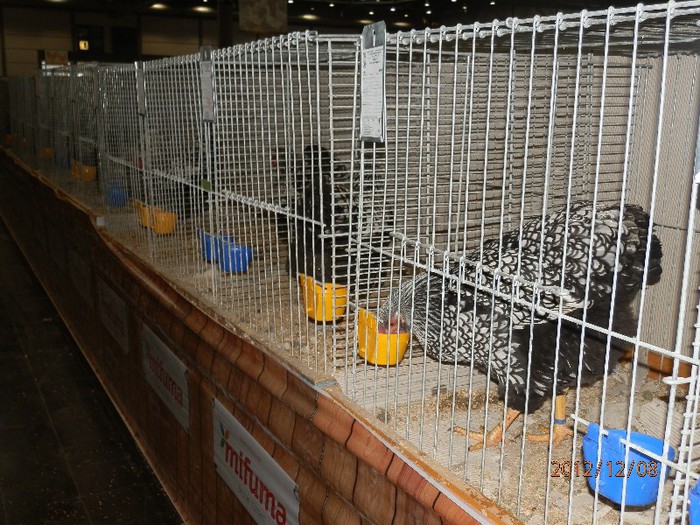 PC082802 - EXPOZITIE LEIPZIG 2012