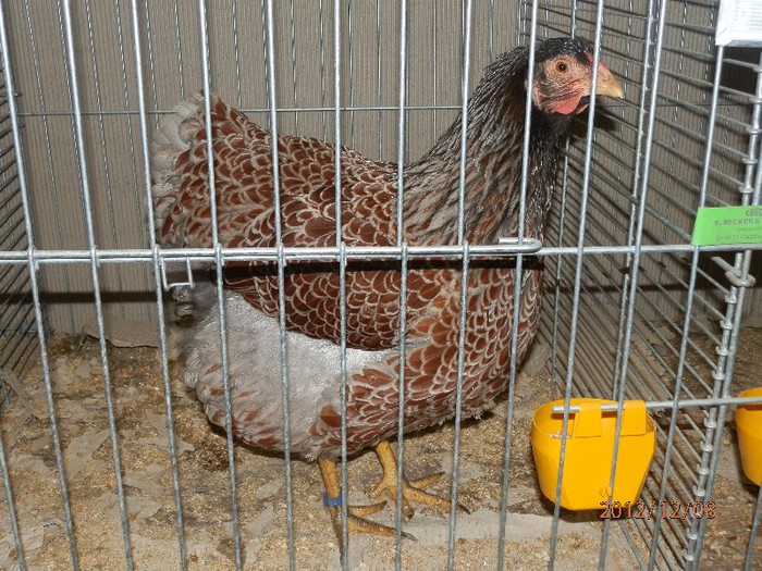 PC082808 - EXPOZITIE LEIPZIG 2012