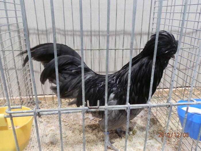 PC082634 - EXPOZITIE LEIPZIG 2012