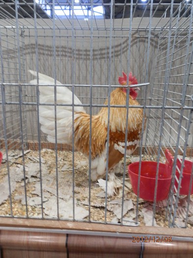 PC082656 - EXPOZITIE LEIPZIG 2012