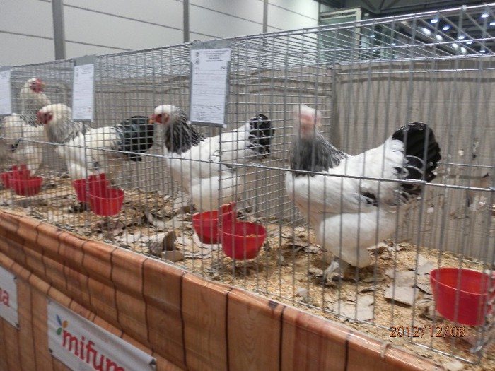 PC082669 - EXPOZITIE LEIPZIG 2012