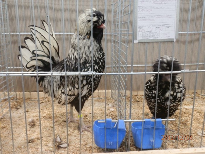 PC082642 - EXPOZITIE LEIPZIG 2012