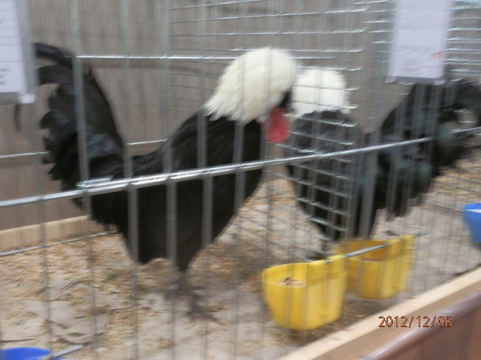 PC082644 - EXPOZITIE LEIPZIG 2012