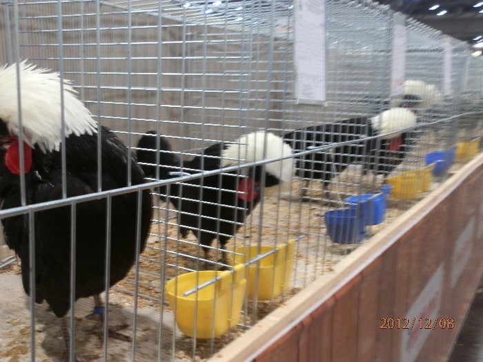 PC082649 - EXPOZITIE LEIPZIG 2012