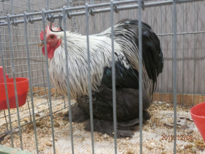 PC082680 - EXPOZITIE LEIPZIG 2012