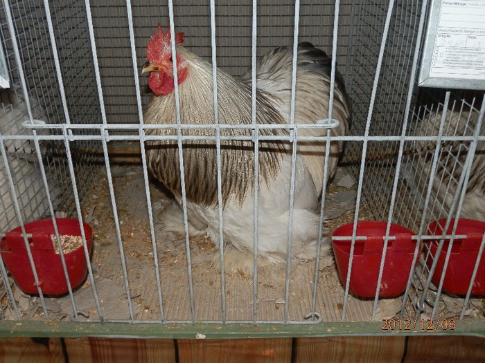 PC082684 - EXPOZITIE LEIPZIG 2012