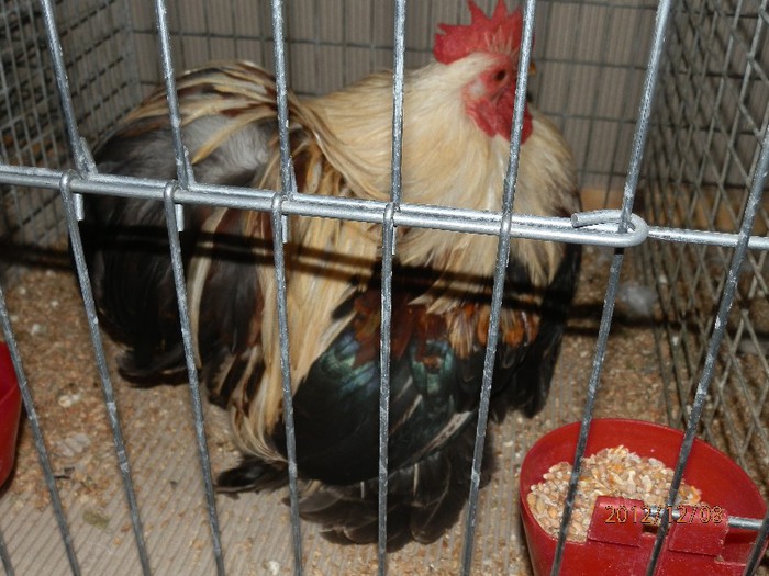 PC082691 - EXPOZITIE LEIPZIG 2012