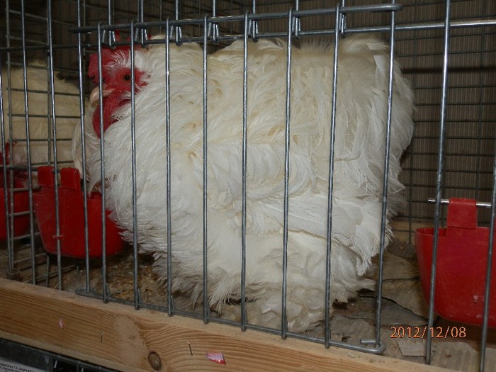 PC082700 - EXPOZITIE LEIPZIG 2012