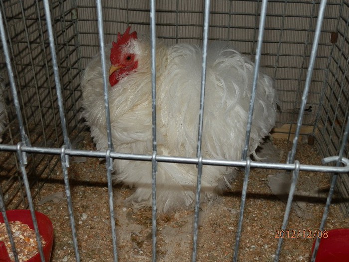 PC082701 - EXPOZITIE LEIPZIG 2012