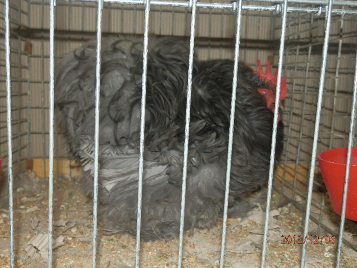 PC082703 - EXPOZITIE LEIPZIG 2012