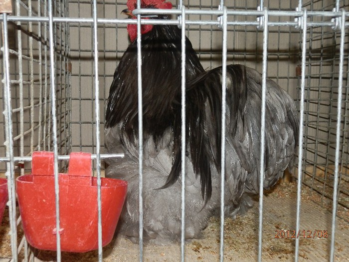 PC082704 - EXPOZITIE LEIPZIG 2012