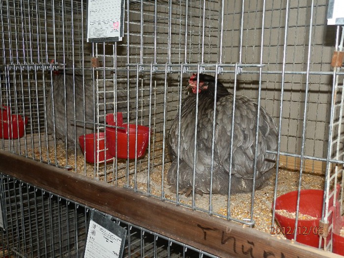 PC082706 - EXPOZITIE LEIPZIG 2012