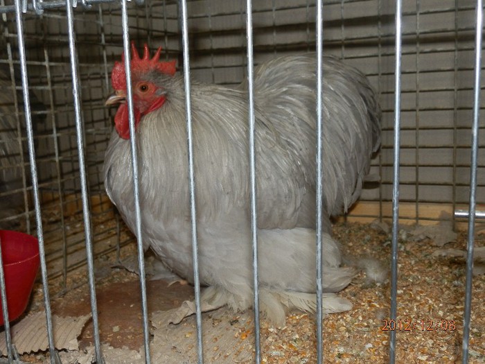 PC082707 - EXPOZITIE LEIPZIG 2012