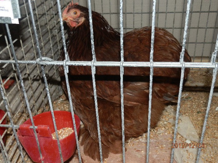 PC082709 - EXPOZITIE LEIPZIG 2012