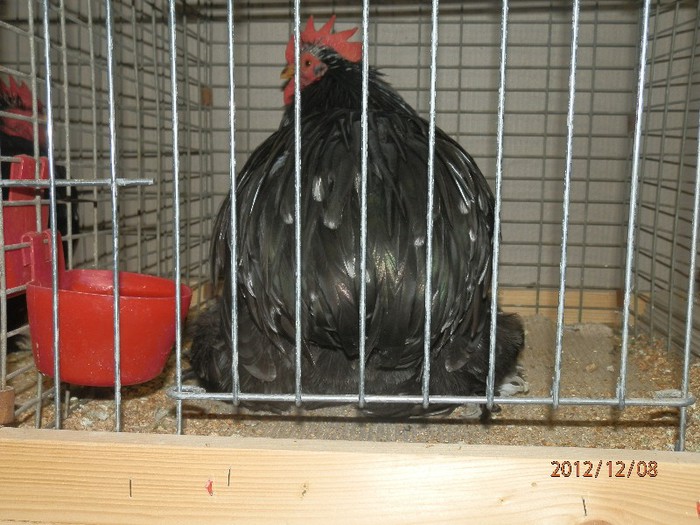 PC082712 - EXPOZITIE LEIPZIG 2012