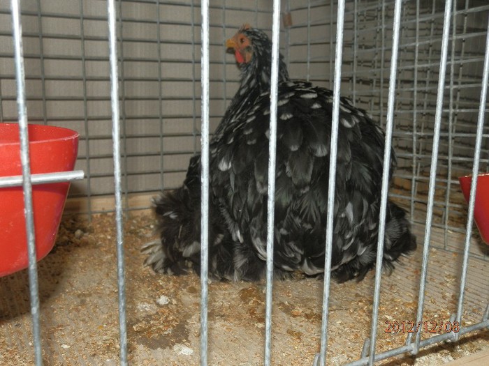 PC082713 - EXPOZITIE LEIPZIG 2012