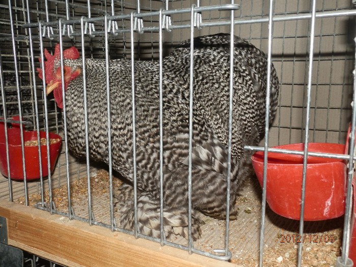 PC082716 - EXPOZITIE LEIPZIG 2012