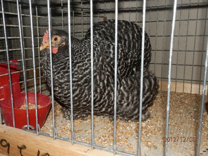 PC082717 - EXPOZITIE LEIPZIG 2012