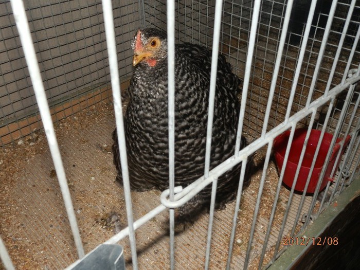 PC082718 - EXPOZITIE LEIPZIG 2012