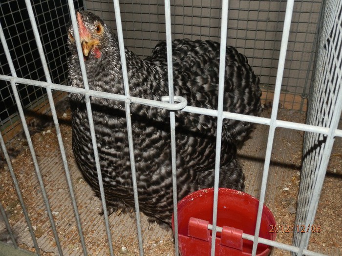 PC082719 - EXPOZITIE LEIPZIG 2012