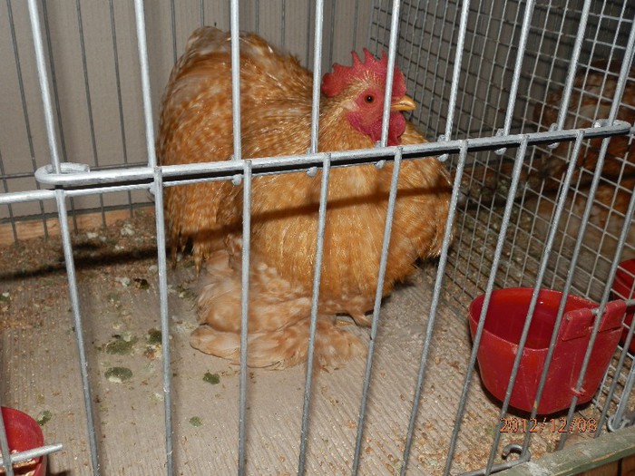 PC082720 - EXPOZITIE LEIPZIG 2012